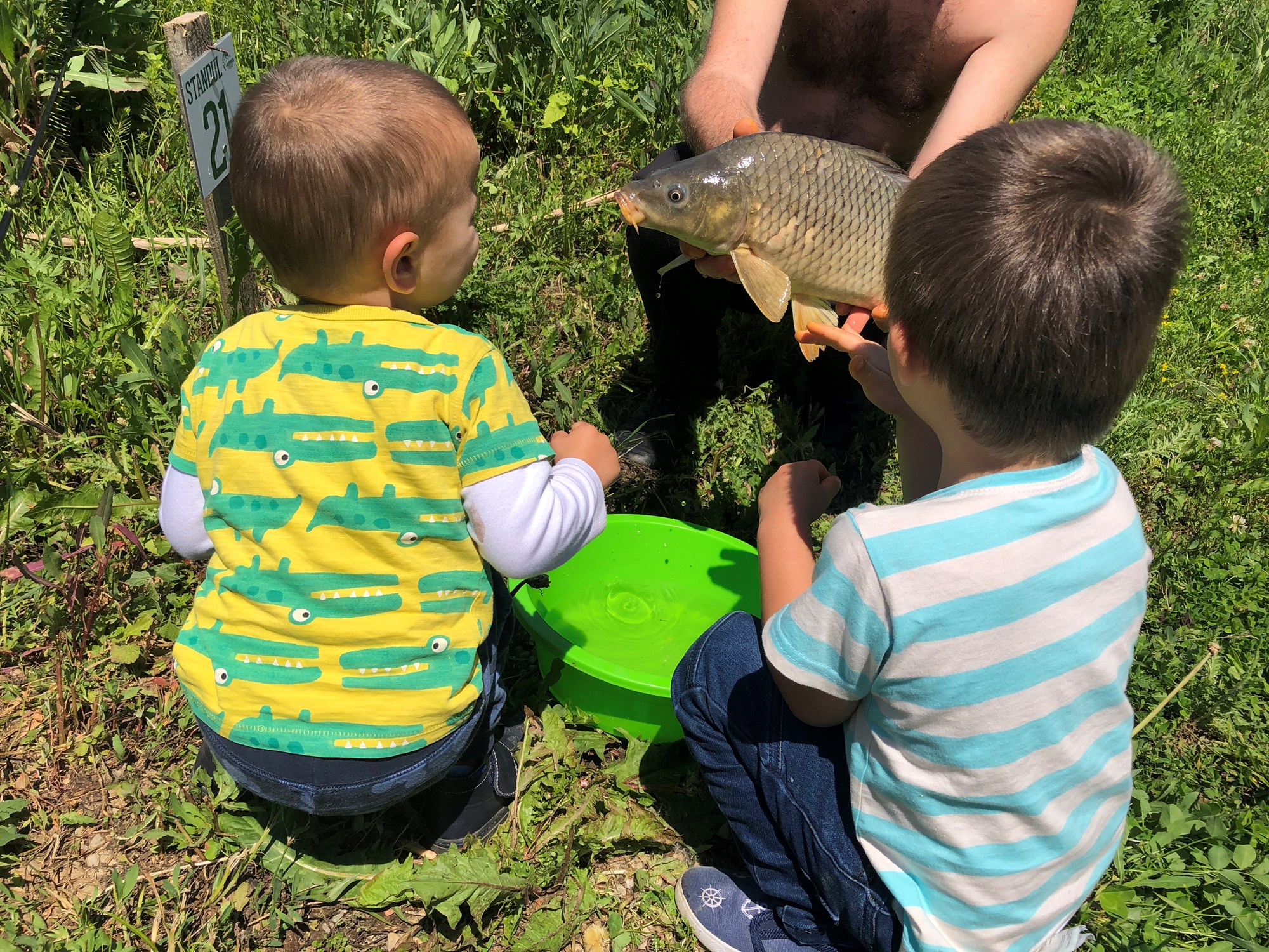 Hermes Peris 1 iun. - F671A8DE5B634F20ABE0FD9FB3CBC787.jpg